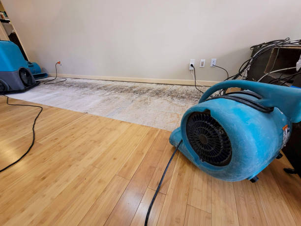 Professional Ceiling Water Damage Repair technician working in Milledgeville, GA